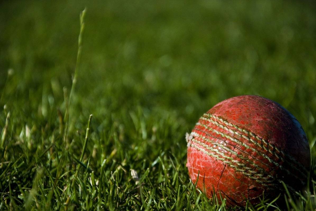 A cricket ball resting on the outfield